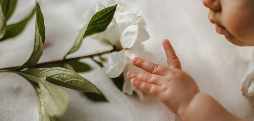 Bebé tocando flor blanca delicadamente.